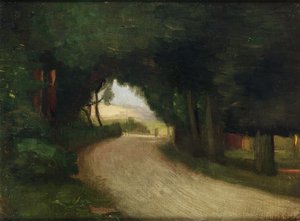 Zomerlandschap